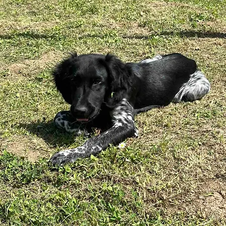 Vikendica Mali Pozarevac Vikendica