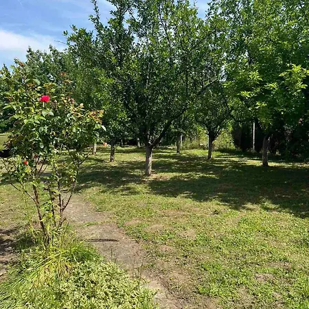 Vikendica Mali Pozarevac