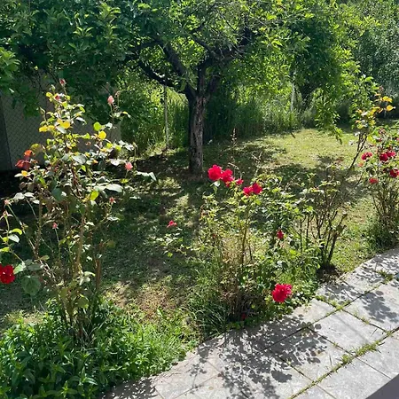 Vikendica Vikendica Mali Pozarevac *