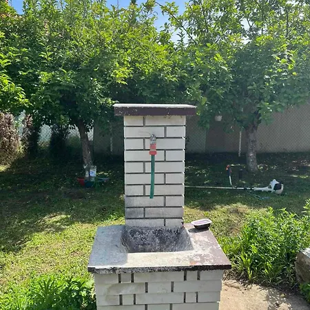 Vikendica Vikendica Mali Pozarevac Brestovik